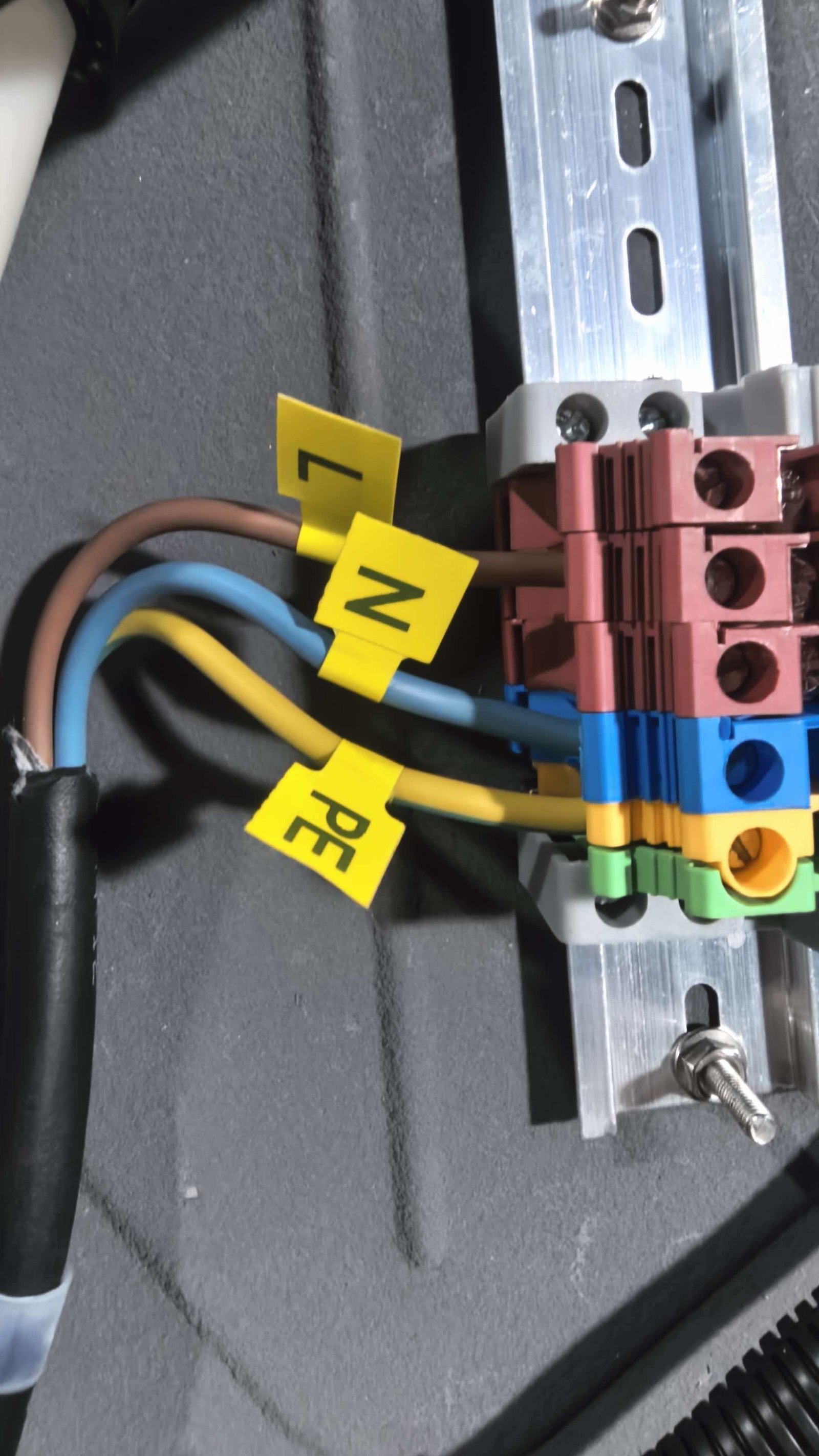Wiring Harness